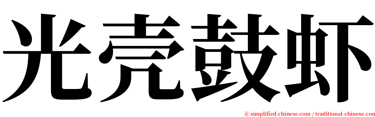 光壳鼓虾 serif font
