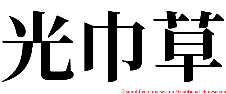 光巾草 serif font