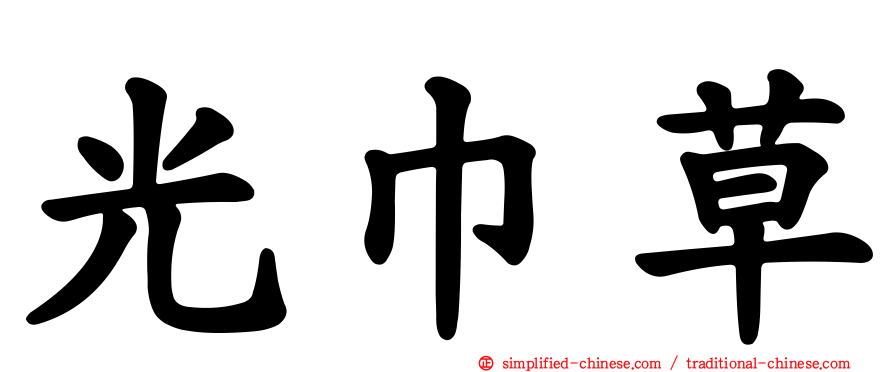 光巾草
