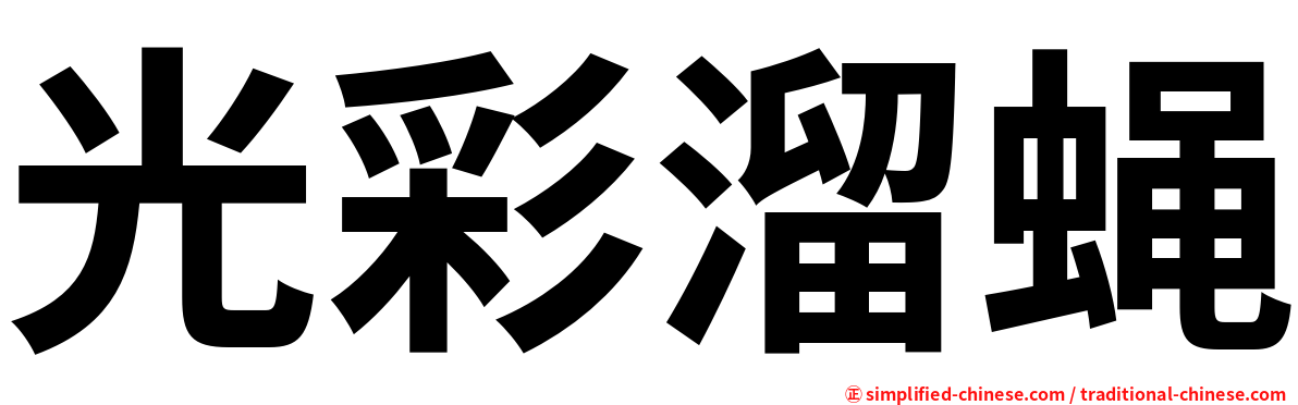光彩溜蝇