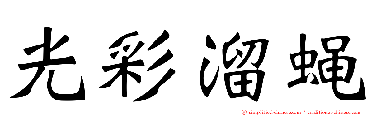 光彩溜蝇