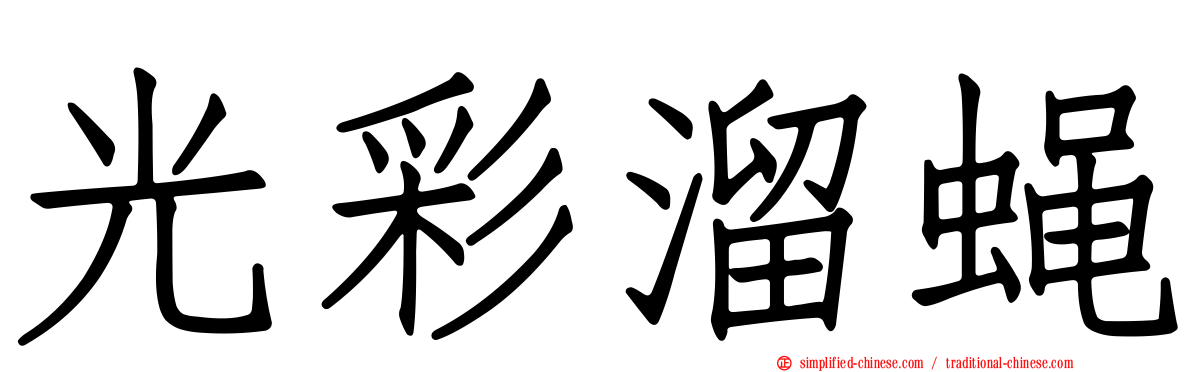 光彩溜蝇
