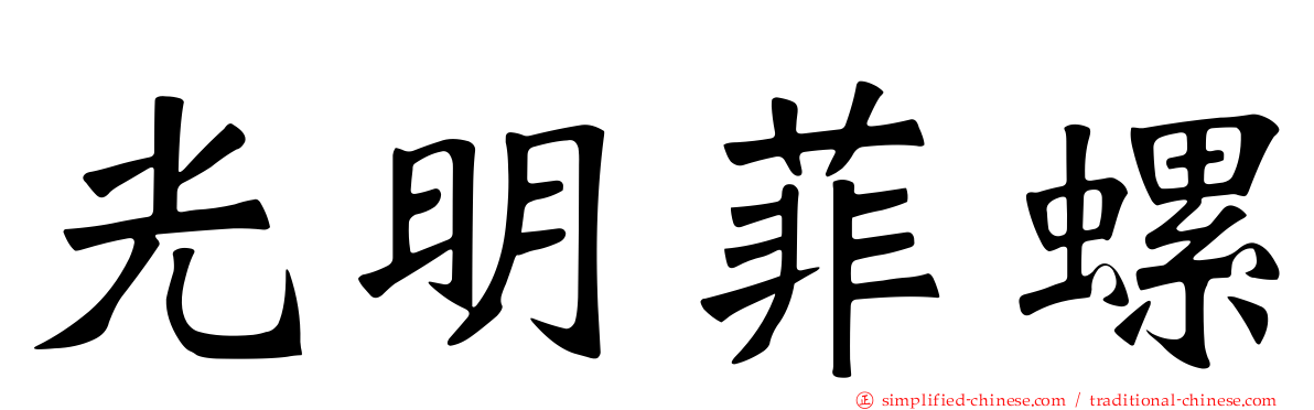 光明菲螺