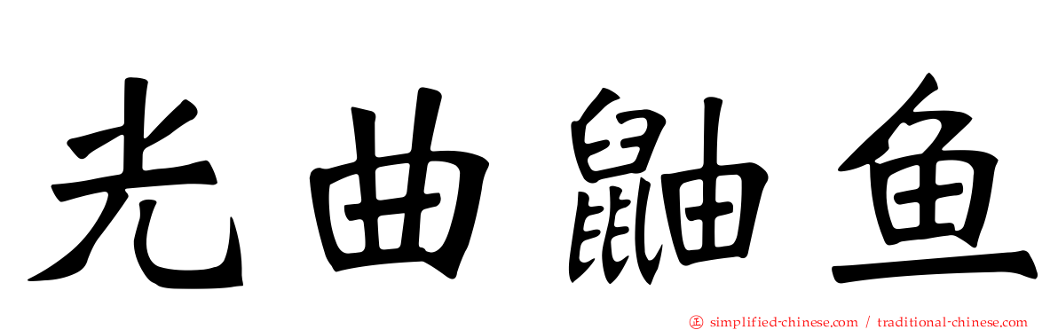 光曲鼬鱼