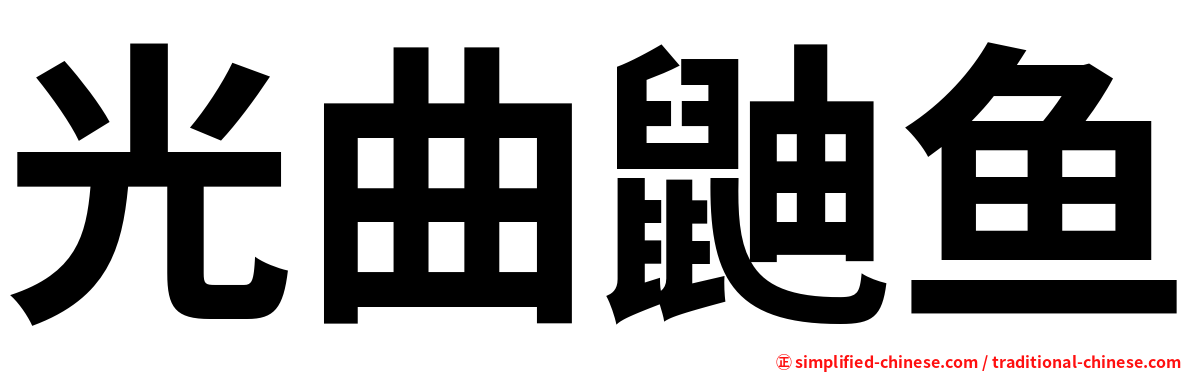 光曲鼬鱼
