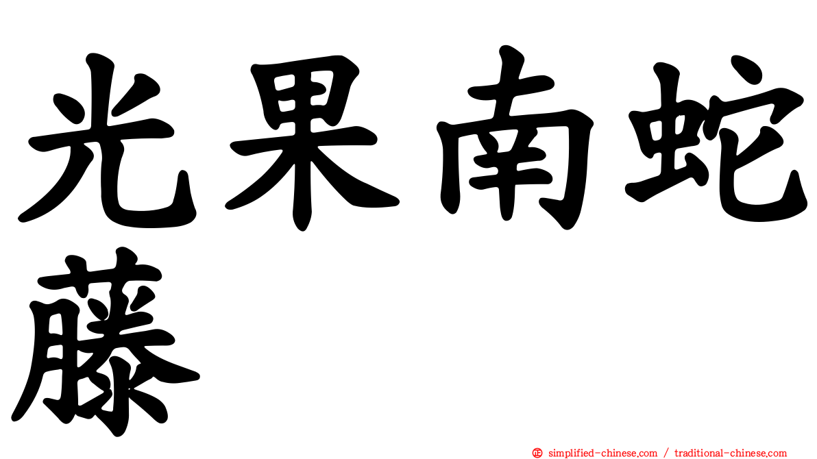 光果南蛇藤