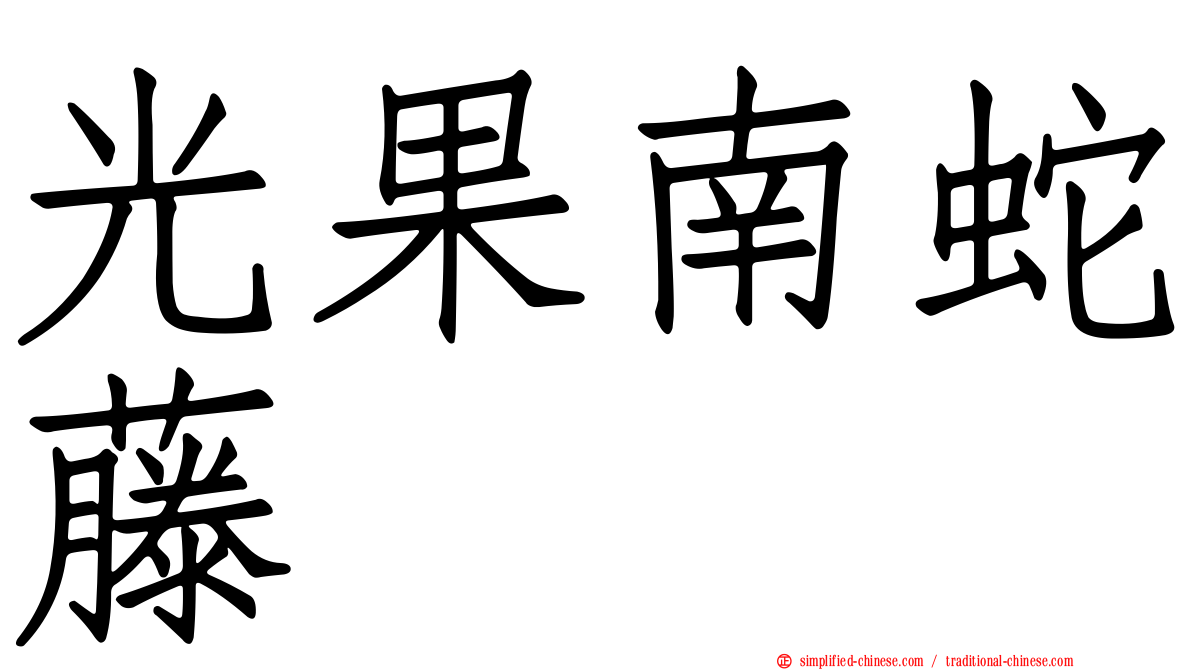 光果南蛇藤