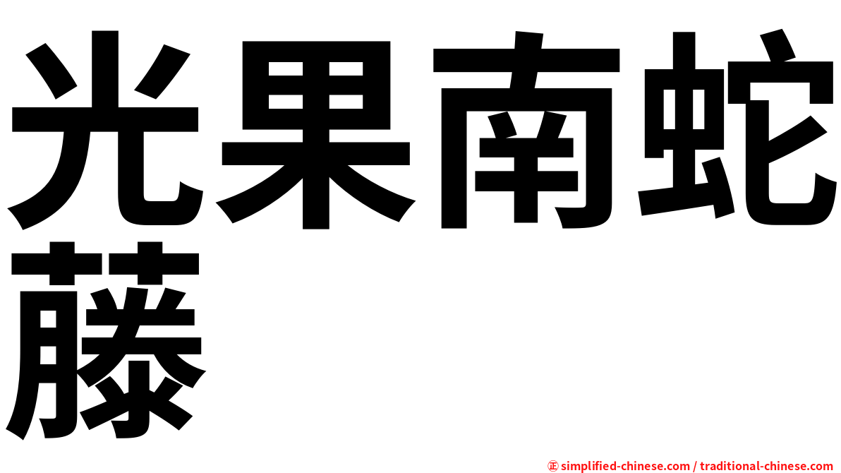 光果南蛇藤