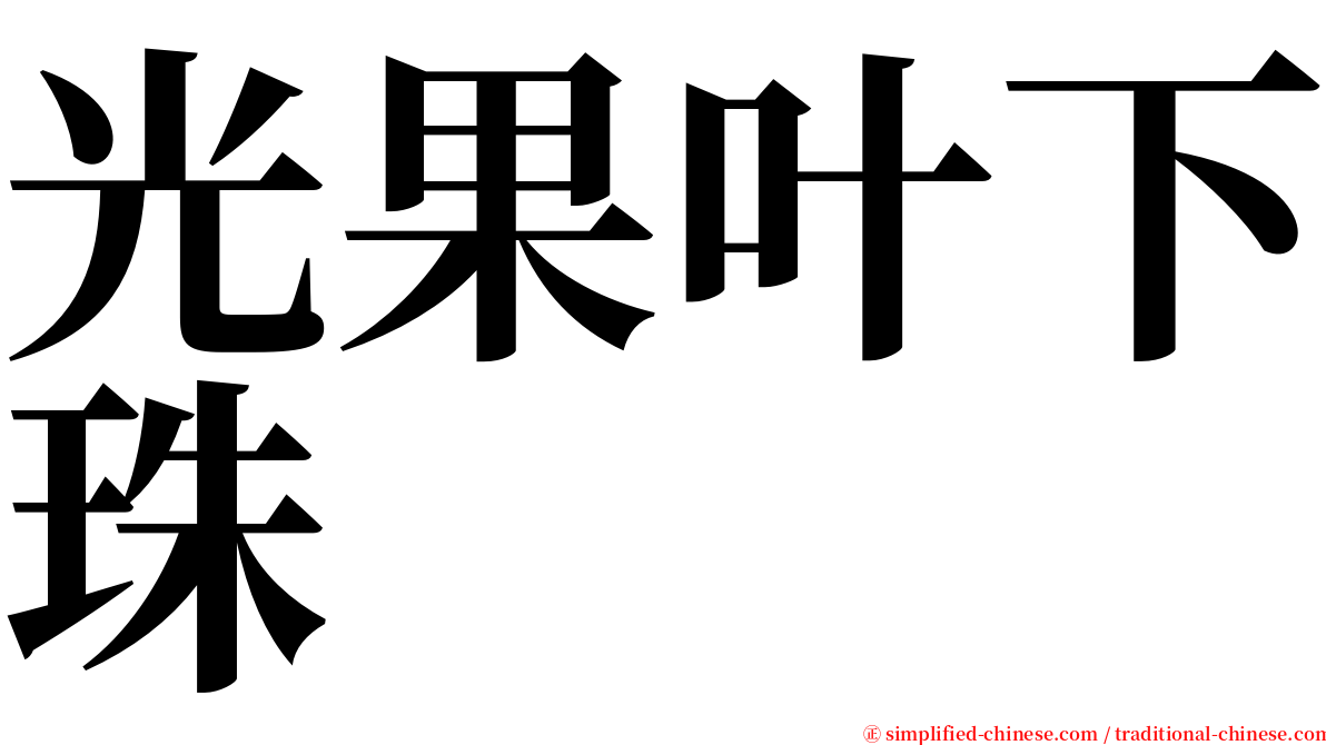 光果叶下珠 serif font