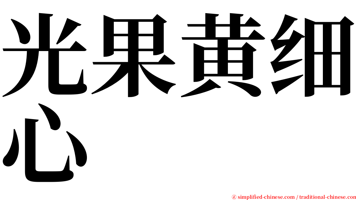 光果黄细心 serif font