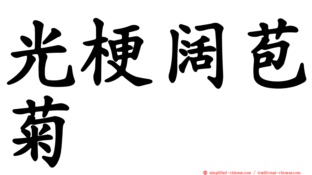 光梗阔苞菊