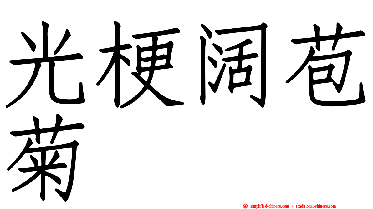 光梗阔苞菊