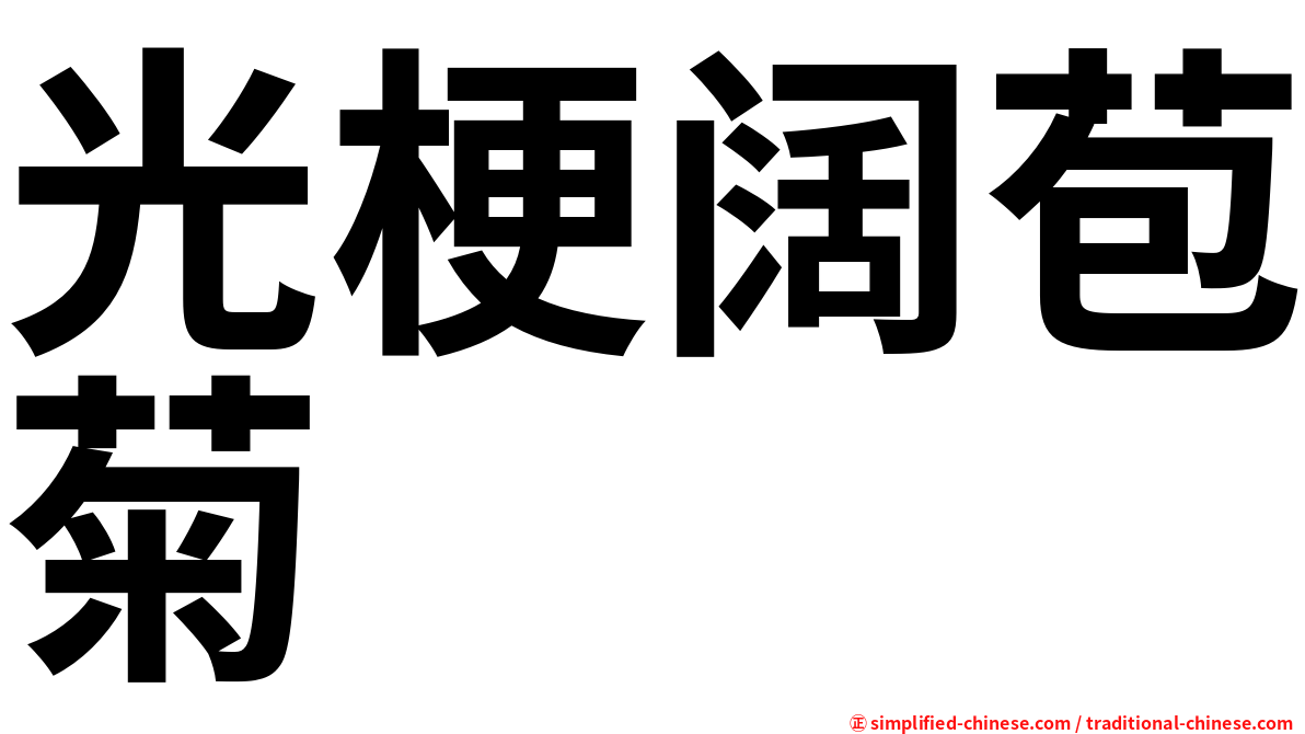 光梗阔苞菊