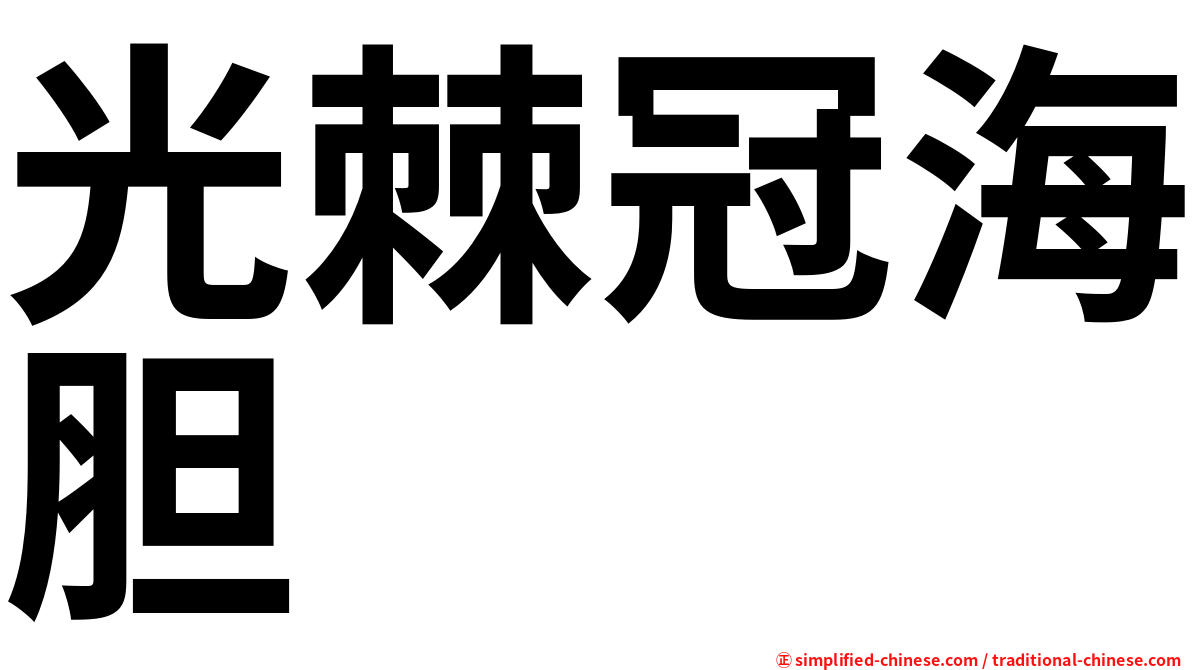 光棘冠海胆