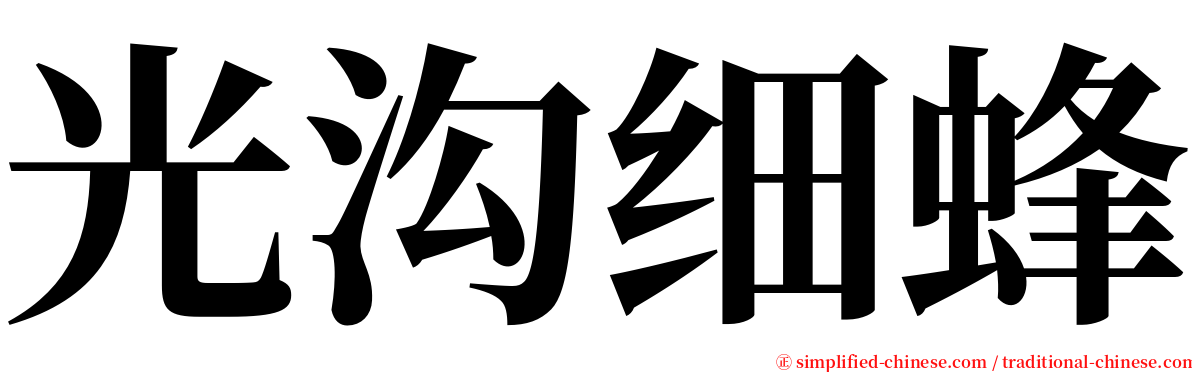 光沟细蜂 serif font