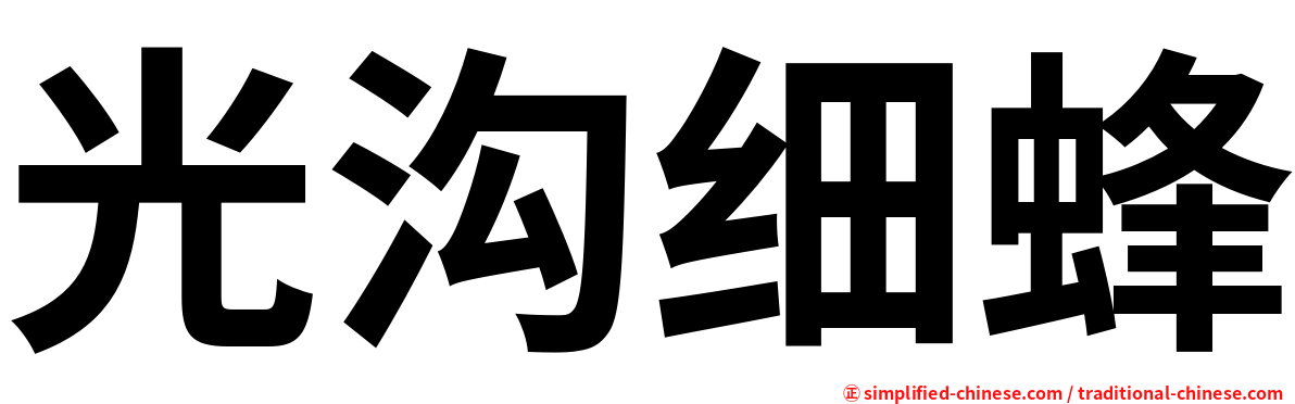 光沟细蜂
