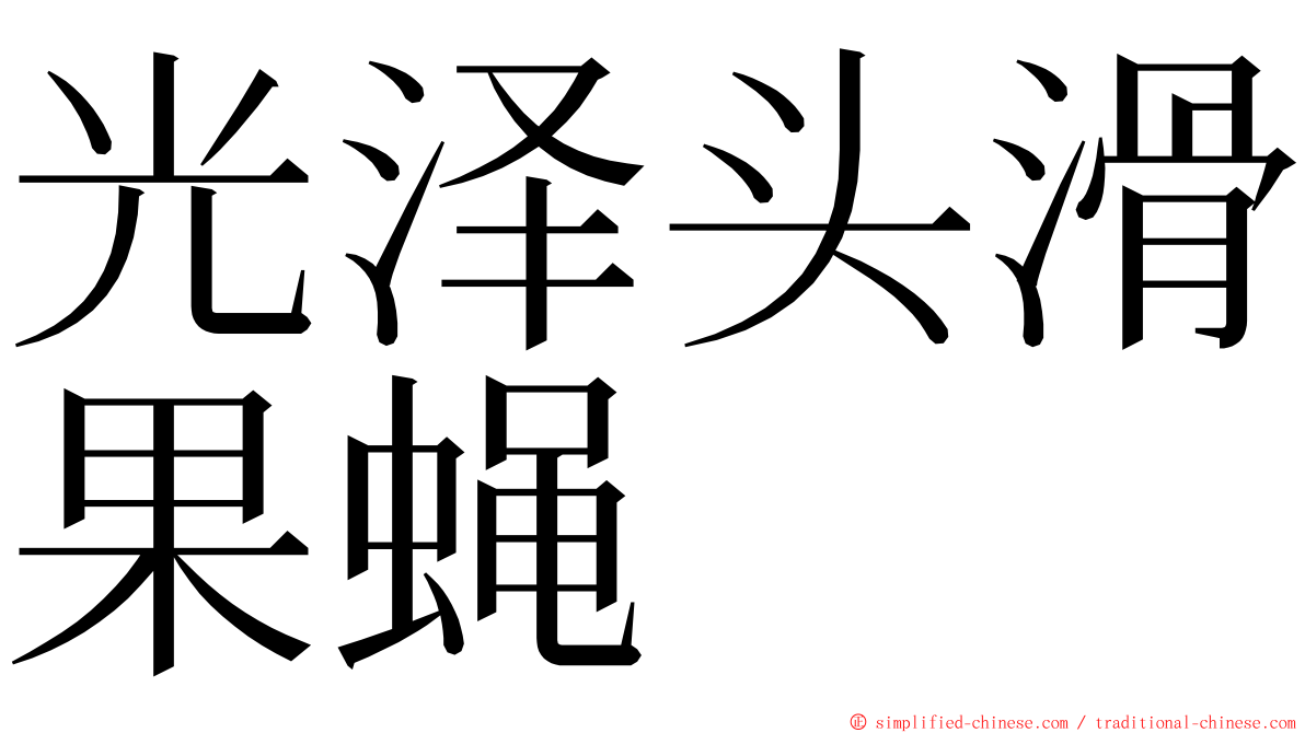光泽头滑果蝇 ming font