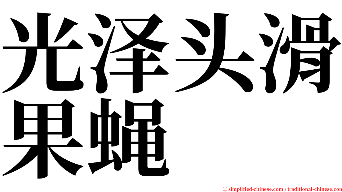 光泽头滑果蝇 serif font