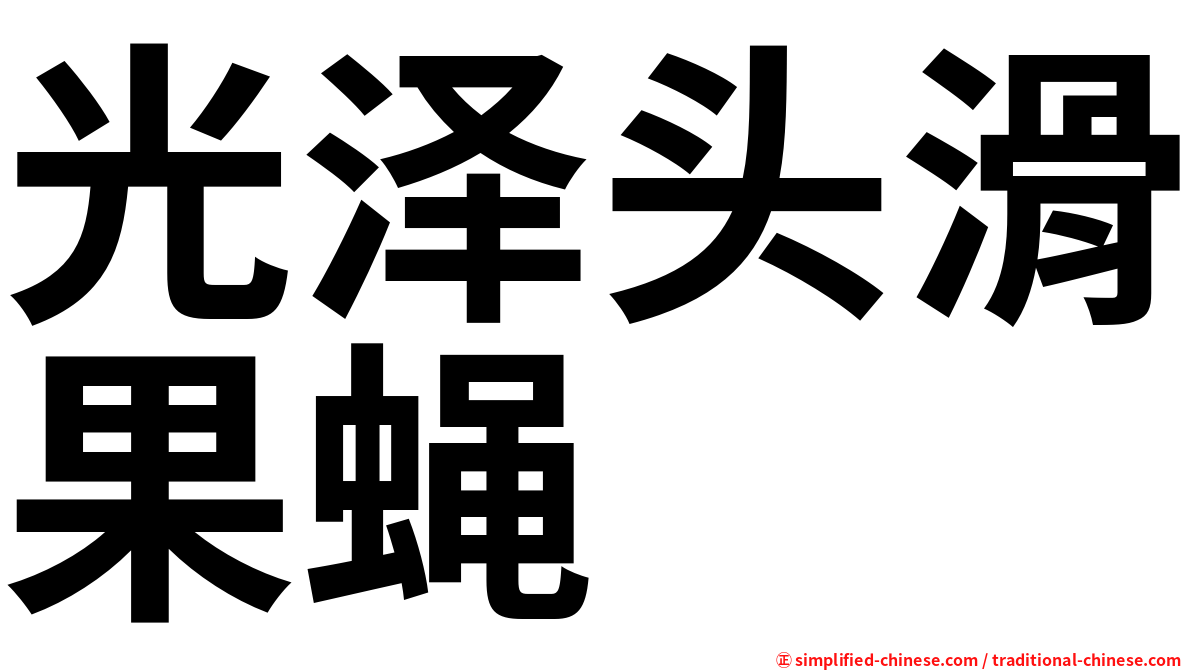 光泽头滑果蝇