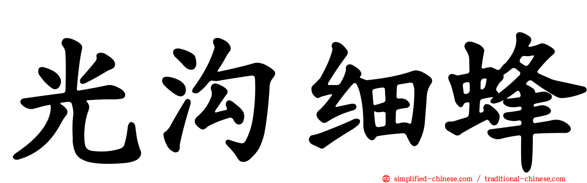 光沟细蜂