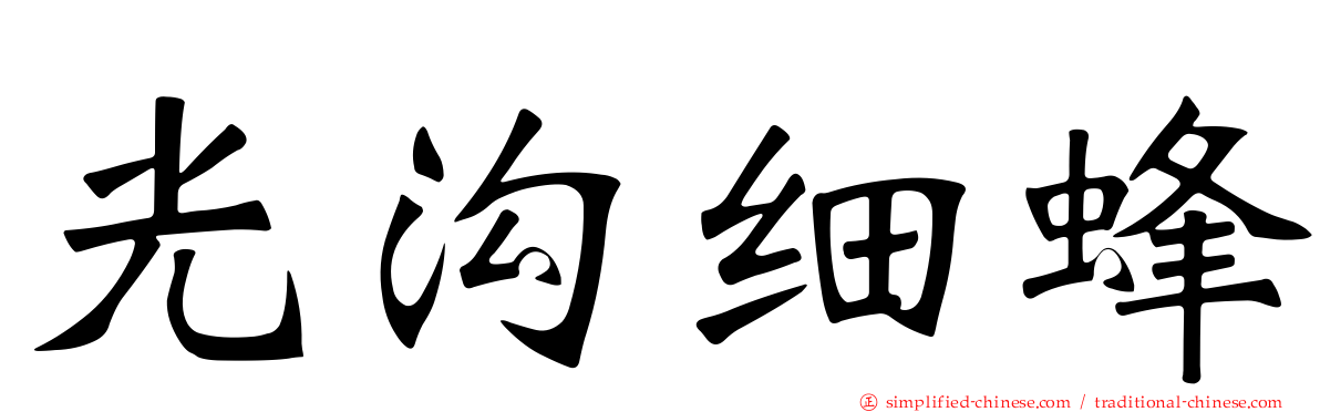 光沟细蜂