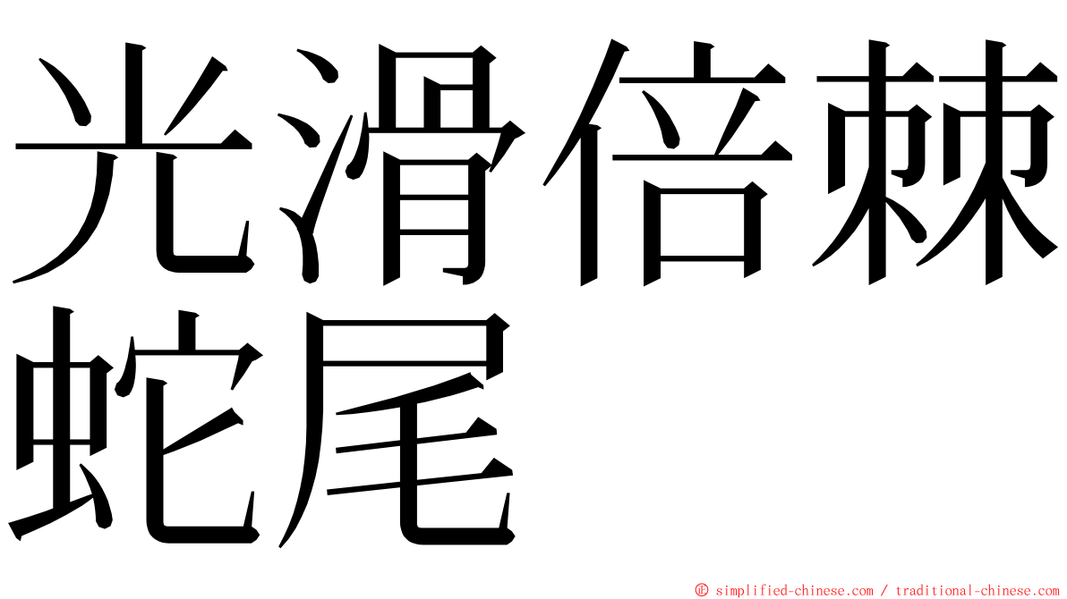 光滑倍棘蛇尾 ming font