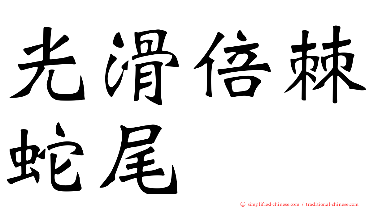 光滑倍棘蛇尾