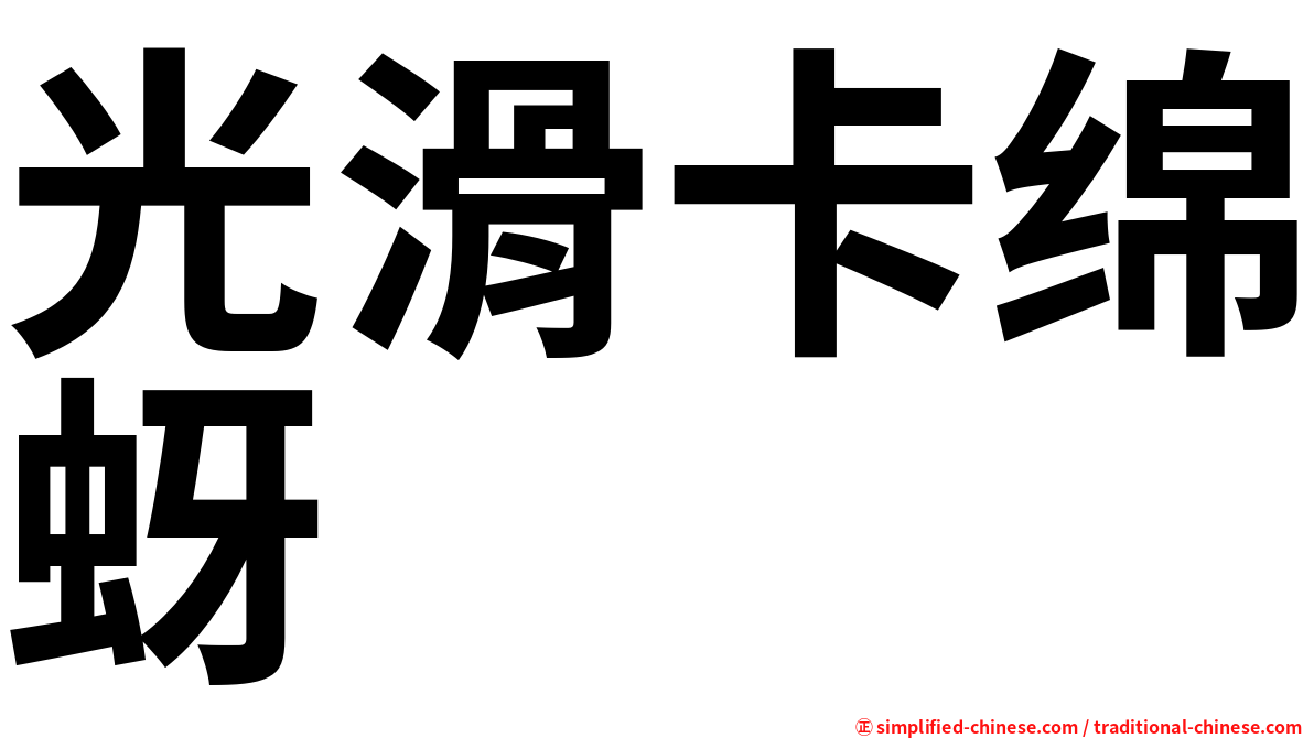 光滑卡绵蚜