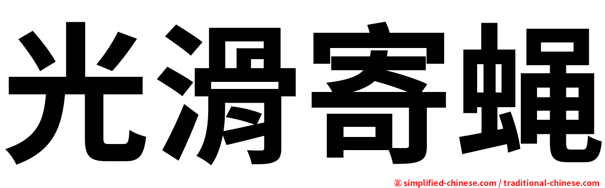 光滑寄蝇