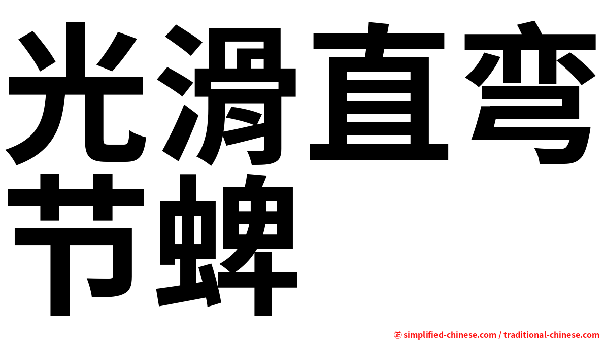 光滑直弯节蜱