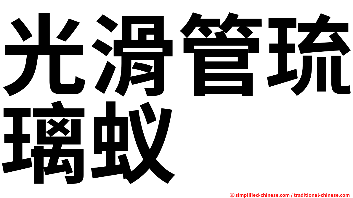 光滑管琉璃蚁