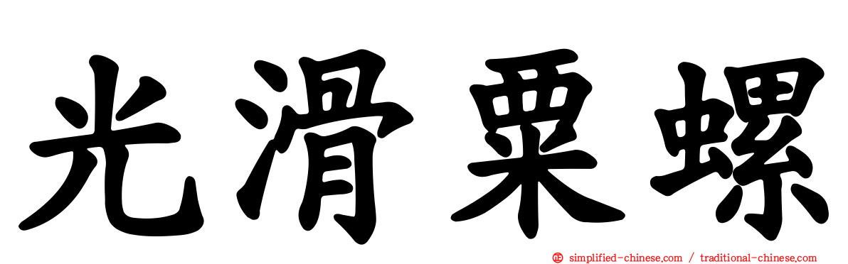光滑粟螺