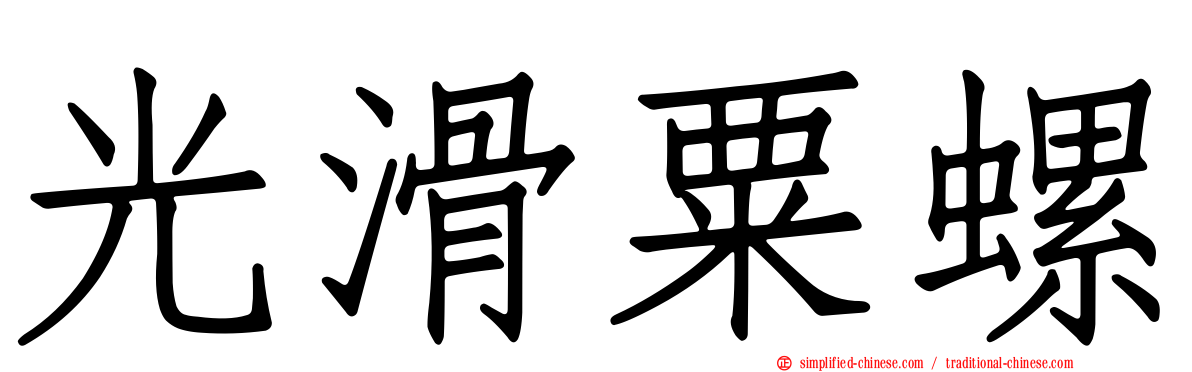光滑粟螺