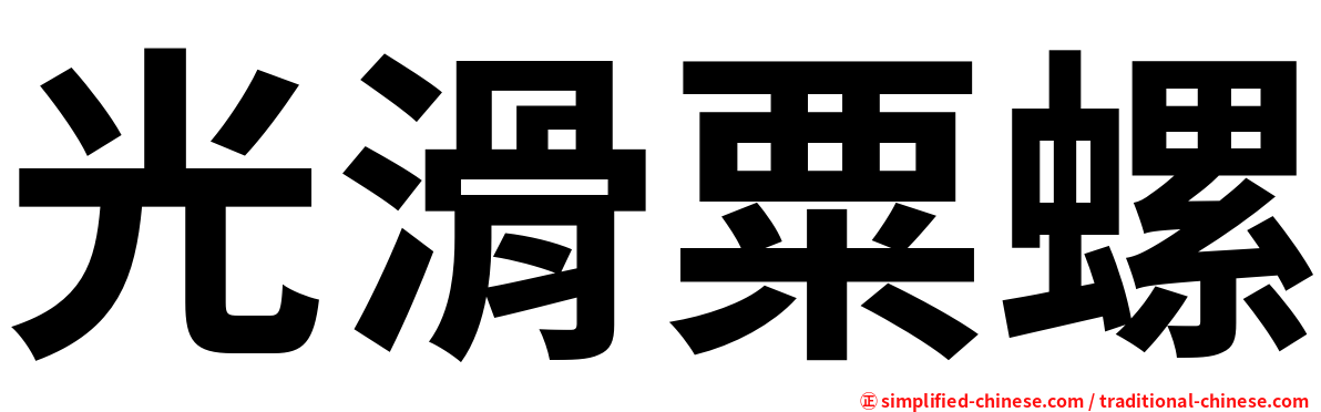 光滑粟螺