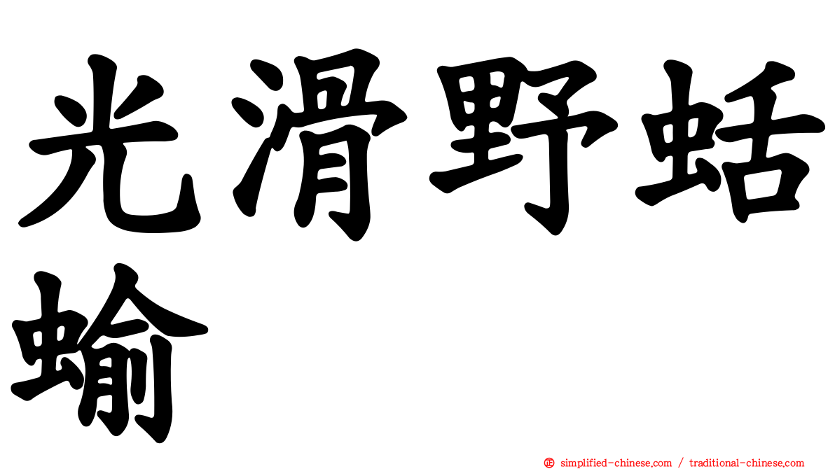 光滑野蛞蝓