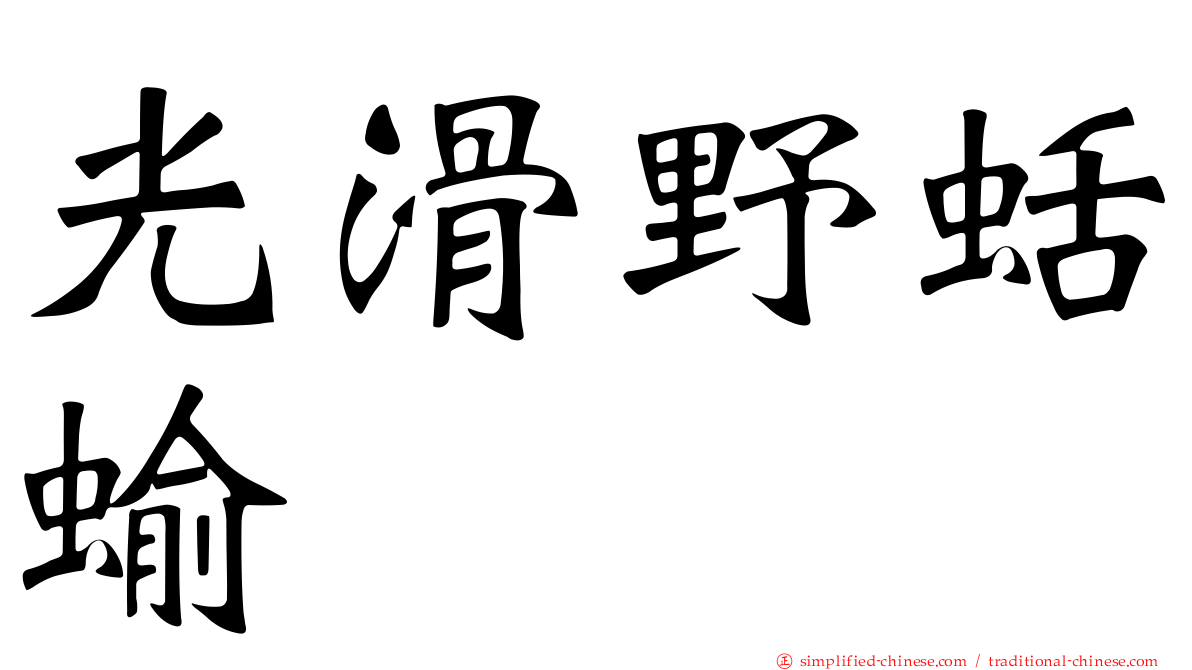 光滑野蛞蝓