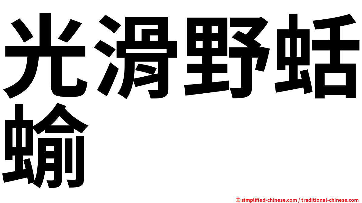光滑野蛞蝓