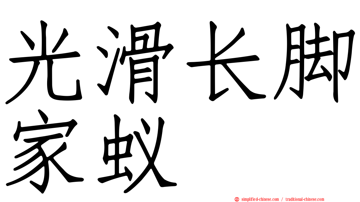 光滑长脚家蚁