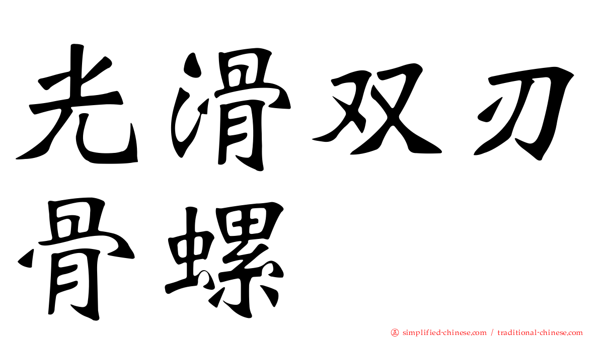 光滑双刃骨螺