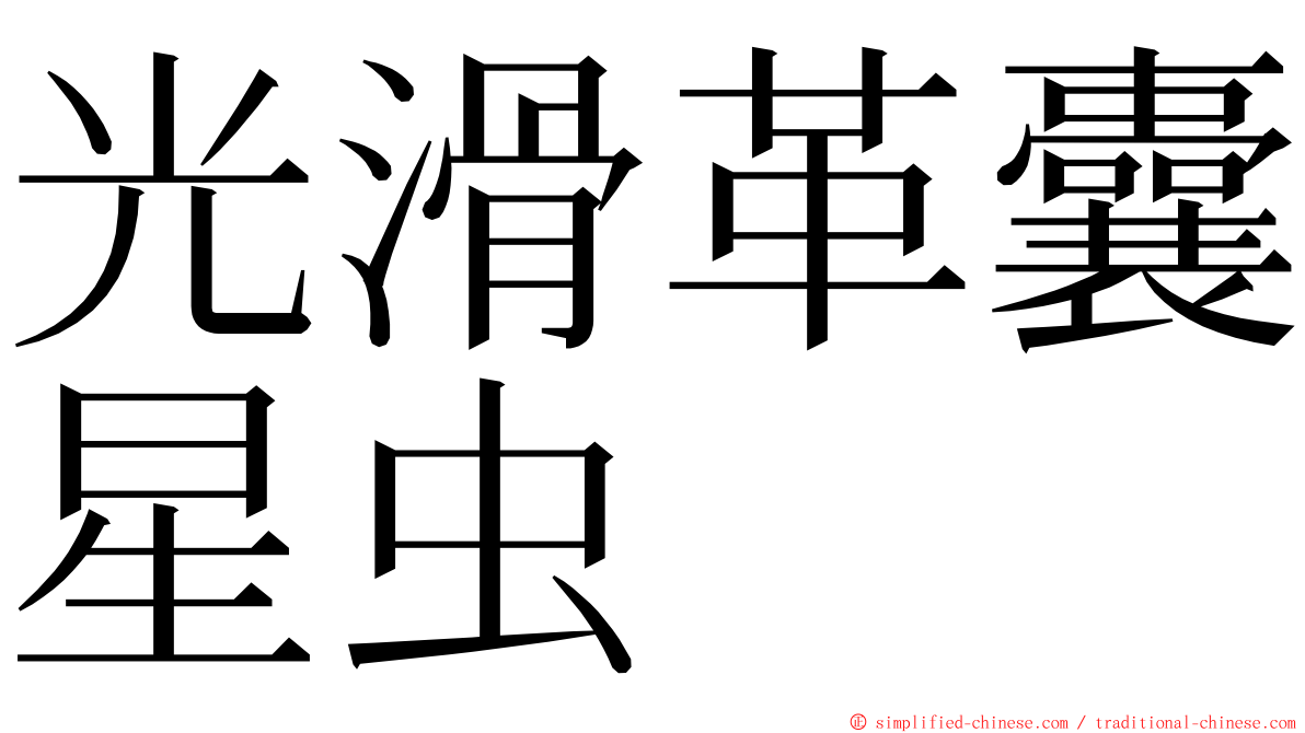 光滑革囊星虫 ming font