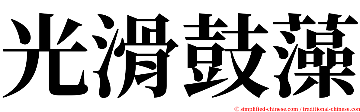 光滑鼓藻 serif font