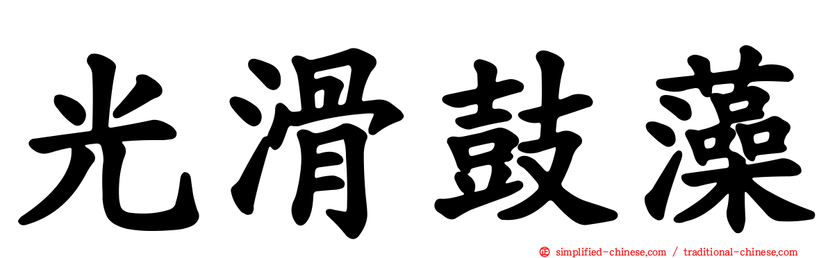 光滑鼓藻