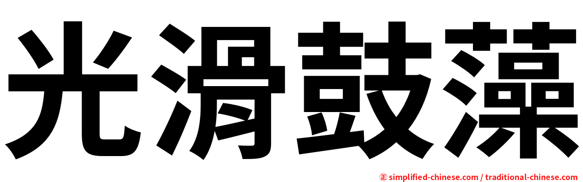 光滑鼓藻