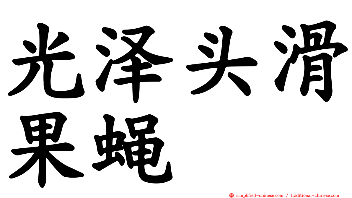 光泽头滑果蝇