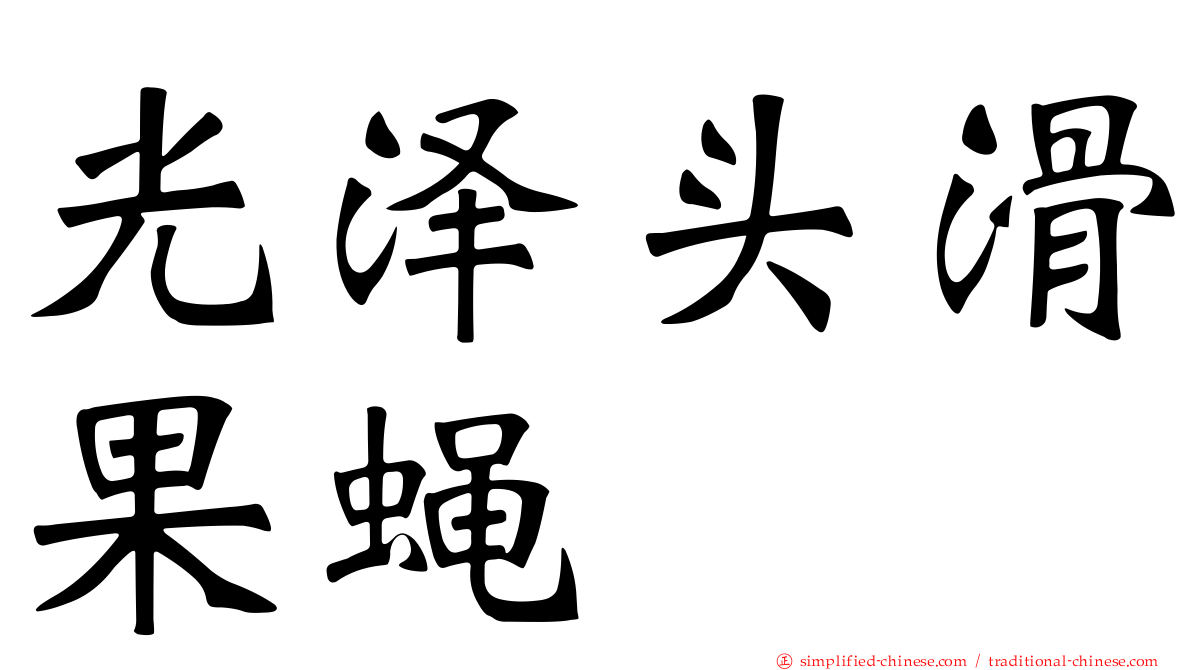 光泽头滑果蝇