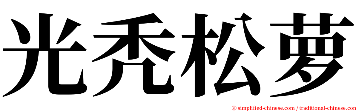 光秃松萝 serif font