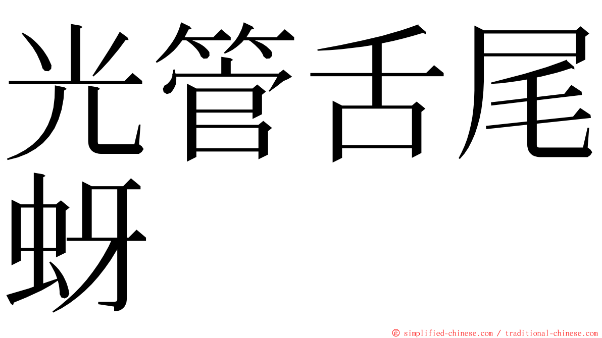 光管舌尾蚜 ming font