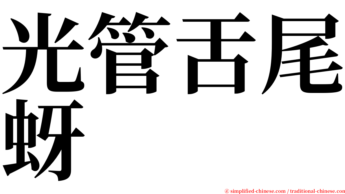 光管舌尾蚜 serif font