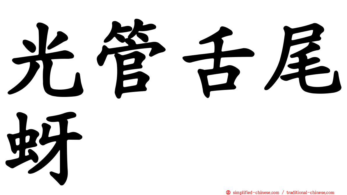 光管舌尾蚜