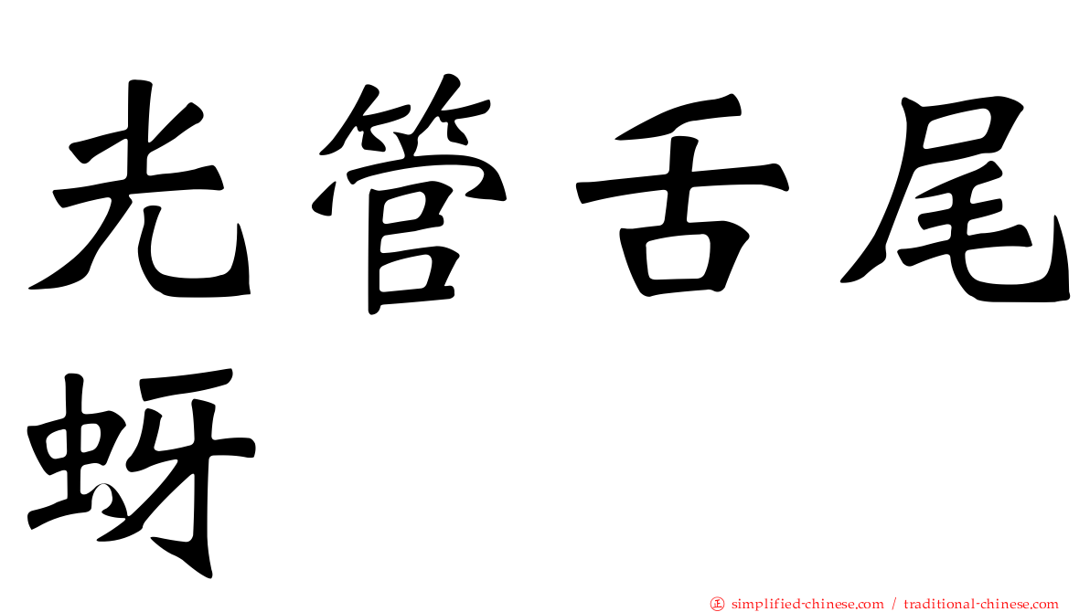光管舌尾蚜